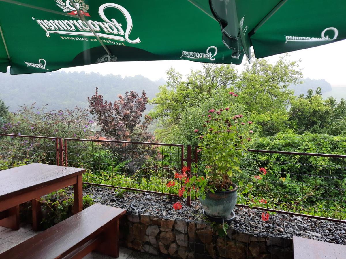 Penzion Zahrada Nad Rekou, Restaurace A Kavarna - Parkovani Gratis Zlatá Koruna Eksteriør billede