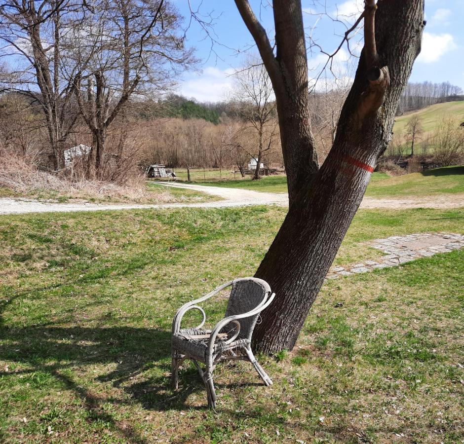 Penzion Zahrada Nad Rekou, Restaurace A Kavarna - Parkovani Gratis Zlatá Koruna Eksteriør billede
